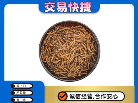 德州市齐河高价回收散虫草